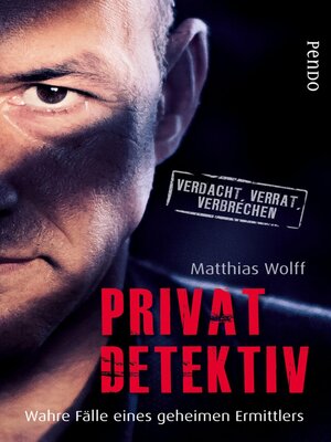 cover image of Privatdetektiv